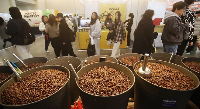 부산 해운대구 벡스코 제1전시장에서 열린 제26회 부산카페쇼를 찾은 관람객들이 다양한 커피 원두를 살펴보고 있다. 사진=뉴스1