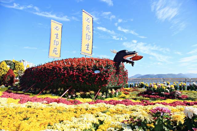 지난해 열린 마산가고파국화축제 모습. 사진 제공=창원시