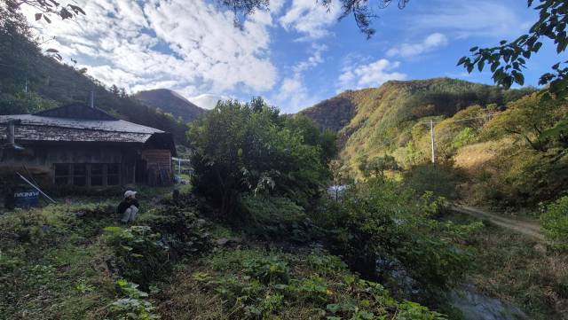 덕산터 게스트하우스는 덕산기 계곡 깊은 산골짜기에 숨은듯 자리잡았다. 김도훈 기자