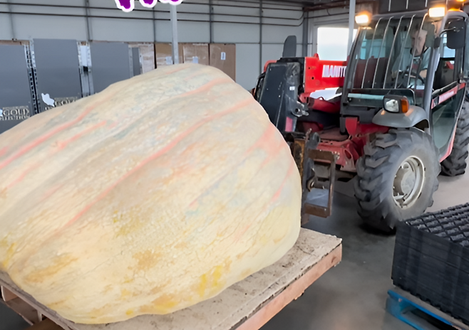 사진=@ianpaton2269