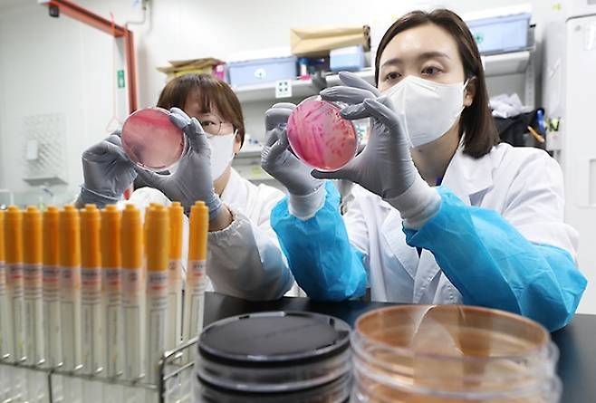 더운 여름철 날씨에 식중독 위험성이 높아지고 있는 가운데 경기 수원시 권선구 경기도보건환경연구원에서 감염병연구부 수인성질환팀 직원이 식중독균 배양검사를 하고 있다. 2024.6.19 (ⓒ뉴스1, 무단 전재-재배포 금지)