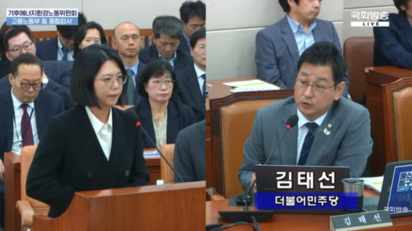 김기원 한국맥도날드 대표이사(왼쪽)와 김태선 더불어민주당 의원. ⓒ국회방송 캡처