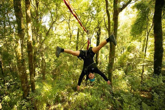 로토루아 캐노피 투어. 사진=TNZ