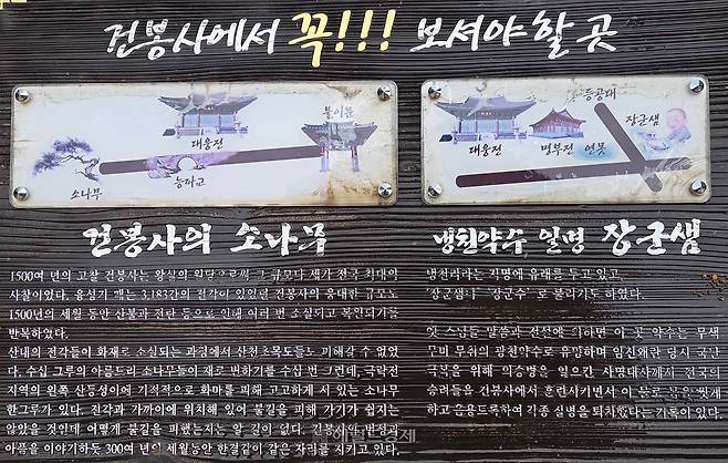 °ÇºÀ»çÀÇ ¼Ò³ª¹«, ³Ãõ¾à¼ö Àϸí À屺»ù ¾È³»ÆÇ