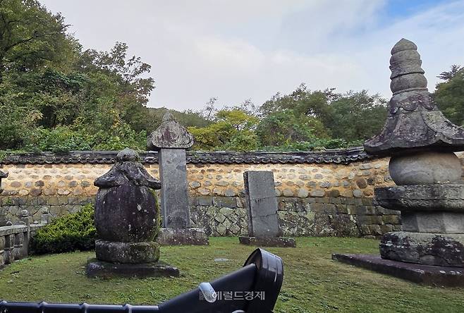 ºÎó´Ô »ç¸®°¡ ¸ð¼ÅÁø Ä¡¾Æ»ç¸®Å¾(¸Ç ¿À¸¥ÂÊ)