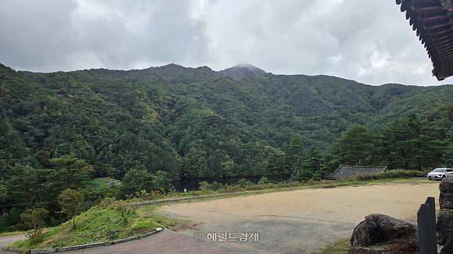 ÁøÀü»ç¿¡¼ ¹Ù¶óº» dz°æ