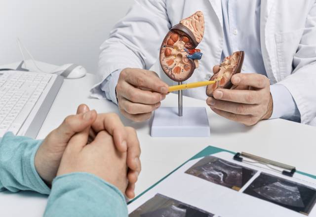 클립아트코리아