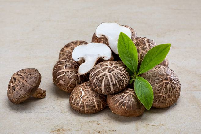 버섯에는 베타글루칸이 풍부해 면역력 강화에 도움이 된다. 사진=클립아트코리아