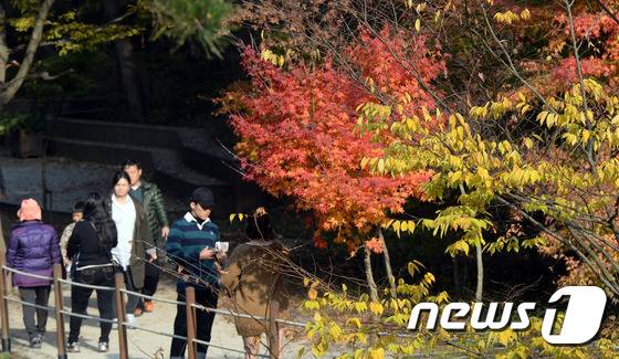 계룡산국립공원 수통골을 찾은 등산객들이 울긋불긋 물들어가는 단풍을 구경하며 산행을 즐기고 있다. (자료사진) ⓒ News1 장수영 기자