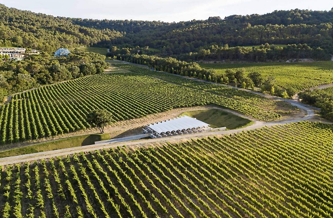 땅을 깊이 파고 만들어 포도밭 속에 파묻힌 것처럼 보이는 렌조 피아노 파빌리온 ©Château La Coste