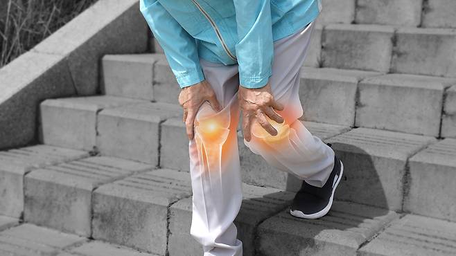 무릎관절염은 관절을 보호하는 연골이 닳거나 손상되면서 발생하는 질환이다|출처: 클립아트코리아