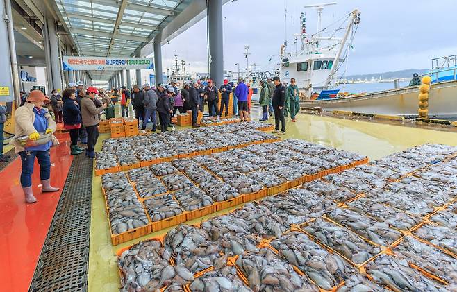 죽변항 수산물 위판장