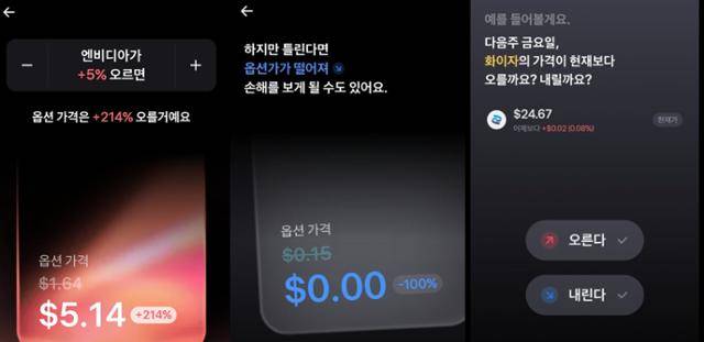 토스증권이 개인 투자자를 대상으로 정식 개시한 해외주식 옵션 서비스의 화면. 온라인 커뮤니티 캡처