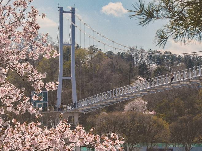 춘천 춘천사이로248