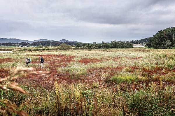 À¾³» ±¸°£ÀÌ ³¡³ª°í ¹Ù´Ù¿¡ ´Ù´Ù¸£¸é ÁÖº¯ÀÌ ¹Ù´Ù¿Í °¹¹ú, ¿°Àü°ú ³í¹çÀÌ ¹Ýº¹µÇ´Â µ¶Æ¯ÇÑ °æ°üÀ¸·Î º¯ÇÑ´Ù.