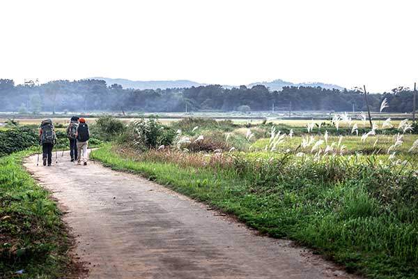 동서트레일은 지역과 지역을 잇는다. 그렇기에 푸근한 시골 마을길이 많다.
