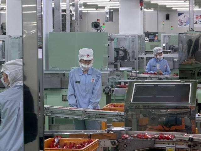 경북 구미시 농심 구미공장 관계자들이 7일 라면 생산 공정을 지켜보고 있다. 구미=안아람 기자