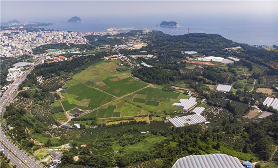 하논 풍경. (출처: 임재영)