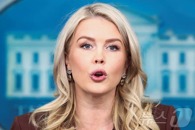 캐롤라인 레빗 백악관 대변인이 12일(현지시간) 미국 워싱턴DC 백악관에서 언론 브리핑을 진행하고 있다. 2025.11.12. ⓒ 로이터=뉴스1 ⓒ News1 류정민 특파원