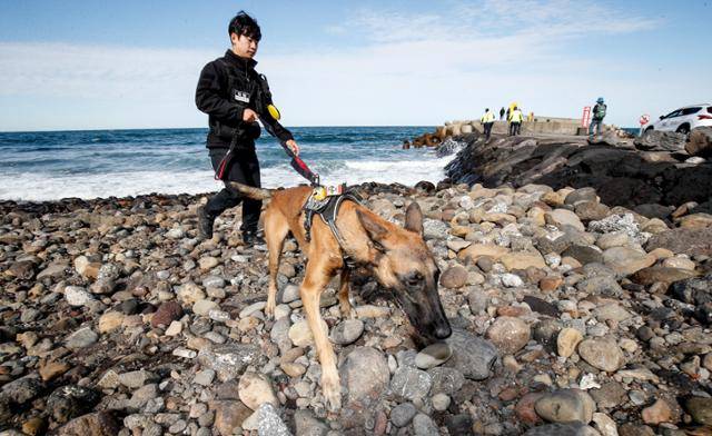 11일 제주시 이호동 등 북부 지역 해안가에서 경찰 마약 탐지견이 마약류 의심물체를 수색하고 있다. 제주=뉴시스
