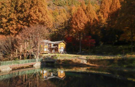 온빛자연휴양림 전경. 논산시 제공