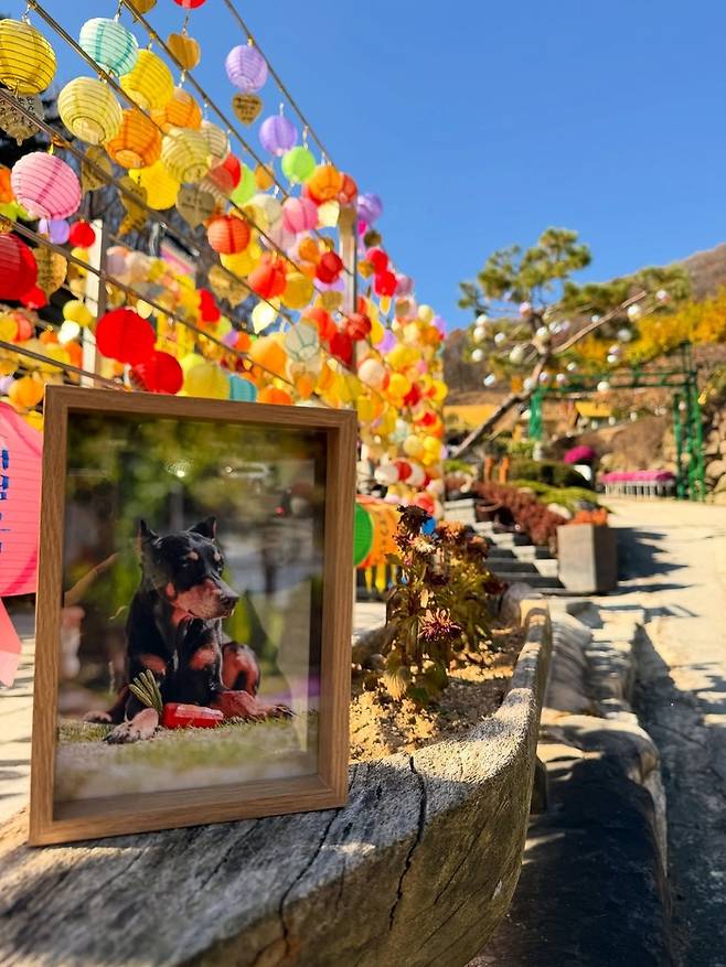 배정남이 게재한 게시물. 사진|배정남 SNS