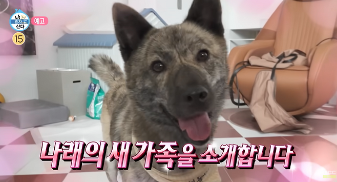 박나래의 새가족 ‘복돌이’. ‘나혼자산다’