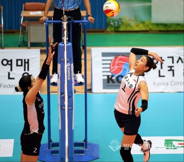 대구시청 장영은.