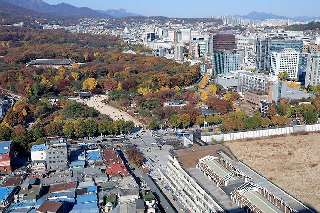 울 종로구 종묘와 세운 4구역 재개발 공사 현장 모습 / 사진=뉴스1