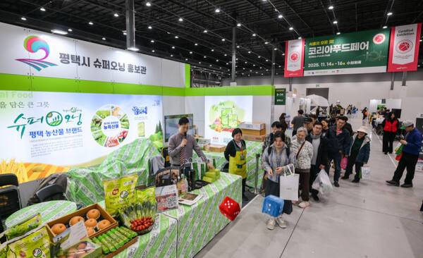 15일 ‘2025 코리아푸드페어(구 대한민국 명품특산물 페스티벌)’ 평택시 부스에서 관람객들이 주사위 게임을 체험하고 있다. 홍기웅기자