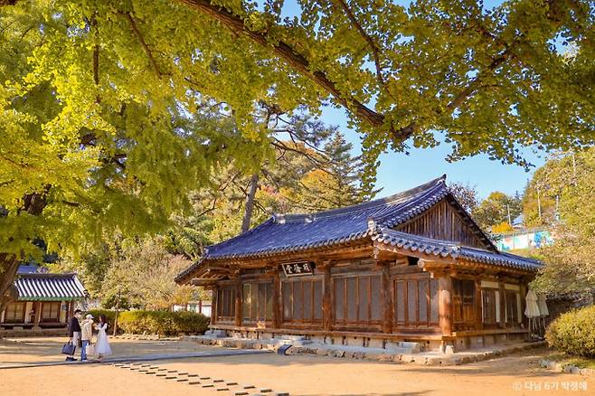 오랜 세월의 흔적을 간직한 전주향교는 곳곳에 자리한 은행나무 덕에 가을이 가장 아름다운 시기로 꼽힌다./사진=한국관광공사