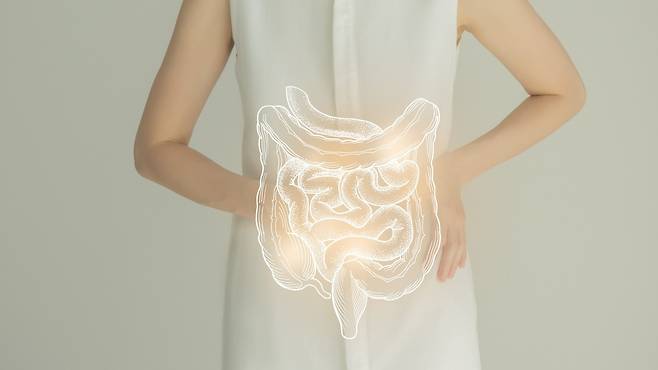 버섯을 섭취하면 장 건강 개선과 면역력 증강에 도움이 된다|출처: 게티이미지뱅크