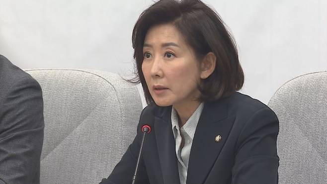 나경원 국민의힘 의원