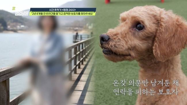 사진=채널A ‘탐정들의 영업비밀’