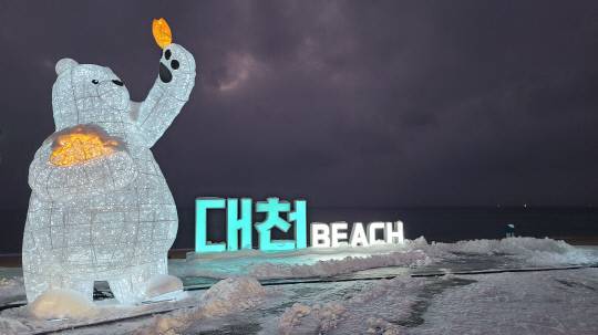 보령시 대천해수욕장 전경. 충남도 제공.