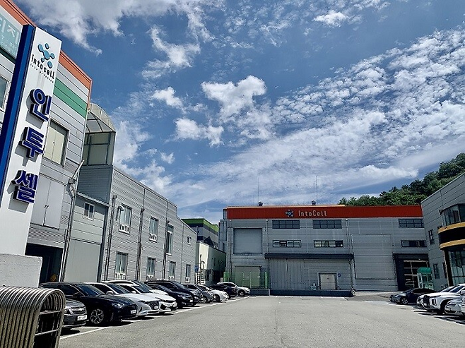 인투셀 본사 ⓒ인투셀