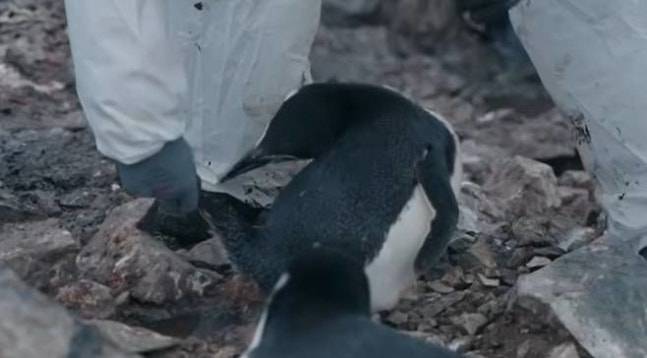 사진=MBC 예능 ‘남극의 셰프’ 예고편 캡처