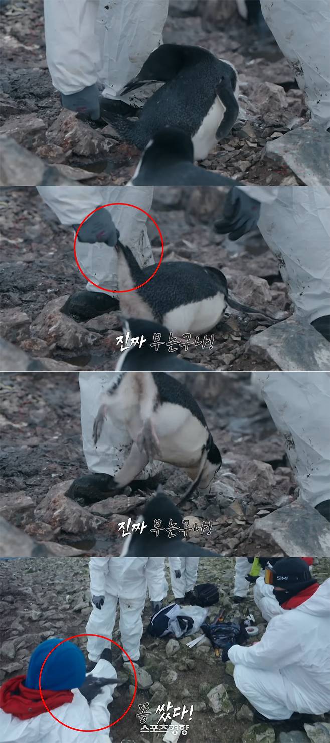 지난 24일 공개된 ‘남극의 셰프’ 3화 예고편. 유플러스 유튜브 채널