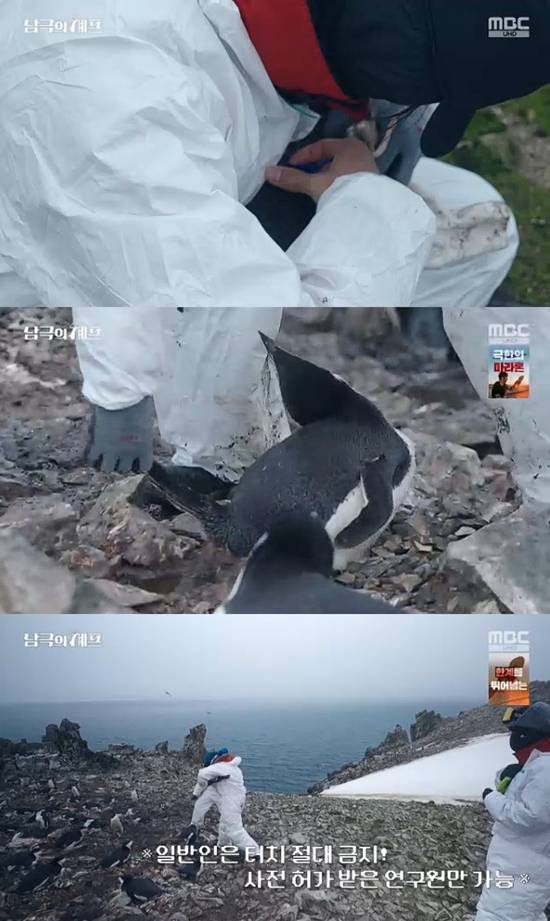사진= MBC '기후환경 프로젝트 - 남극의 세프' 방송 캡처