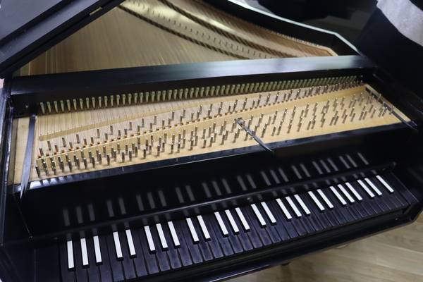 김미정 피아노 연주자가 갖고 있는 하프시코드를 개방한 모습. /주성희 기자