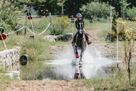 승마 대회 모습. 본 기사와 관련 없음. 중앙포토