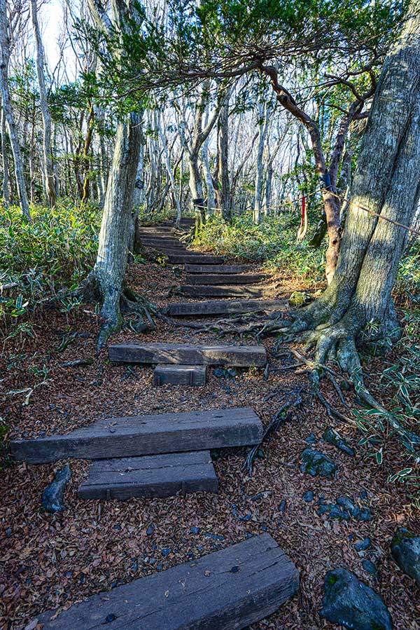 어승생악 탐방로. 길에서도 고산의 느낌을 물씬 풍긴다.