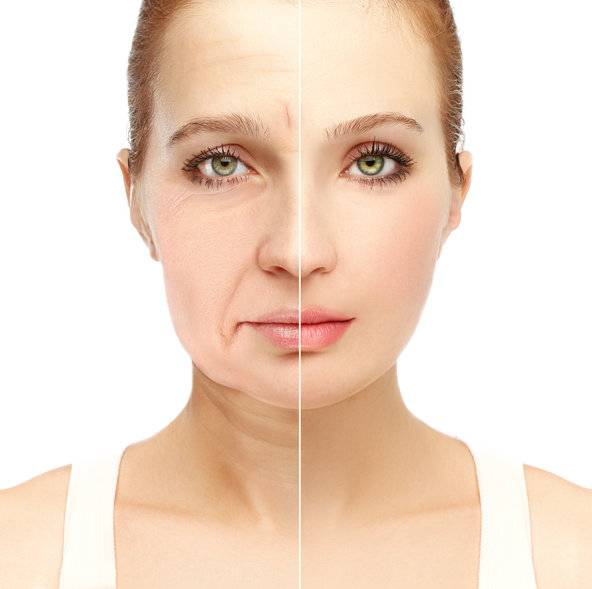 옥시토신과 Alk5 억제제 병용 시, 늙은 수컷 생쥐 수명이 70% 향상됐다. 사진=게티이미지코리아.