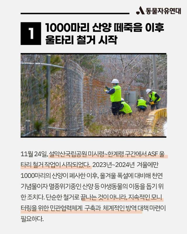 올해의 동물 뉴스. 동물자유연대 제공