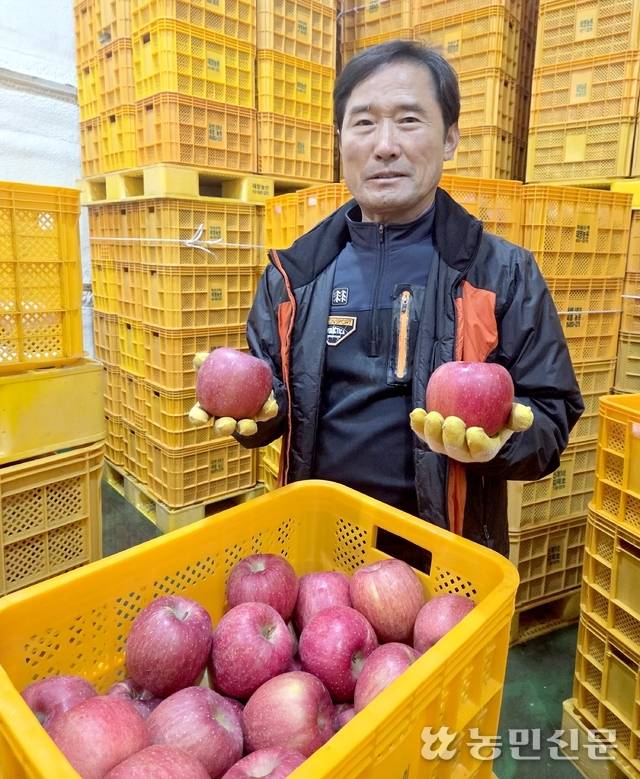 김부득 경북 의성 태영농원 대표가 자신의 저온창고에서 앞선 11월27일 열린 ‘2025 대한민국 대표과일 선발대회’ 시상식에서 대상을 받은 ‘후지’ 사과를 자랑스럽게 들어 보이고 있다.