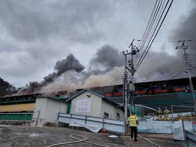 ▲ 6일 오후 4시 23분쯤 횡성군 강림면의 한 돈사에서 불이 나 돼지 약 700마리가 폐사했다. 강원소방본부 제공