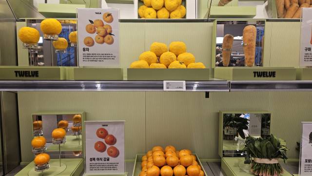 10일 서울 강남구 청담동에 문을 연 '하우스오브신세계 청담'에서 과일이 진열돼 있다. 김지영 기자