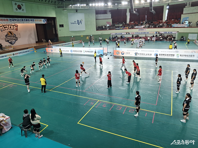 충주 호암체육관에서 열린 전국학교스포츠클럽축전 피구대회. 사진|윤찬희 학생기자