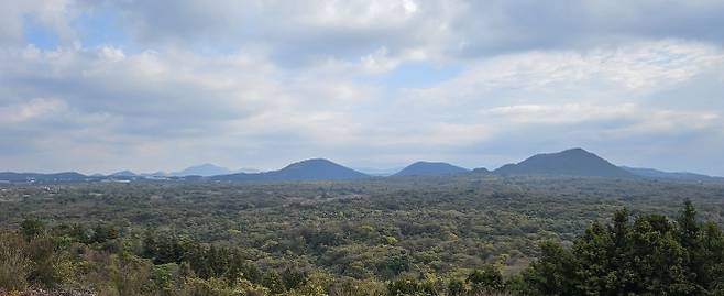 문도지오름에서 바라본 저지곶자왈 모습. 제주 강동삼 기자