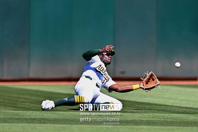 ▲ 다즈 카메론은 장타력은 물론 외야 세 포지션을 모두 소화할 수 있는 능력을 가지고 있다